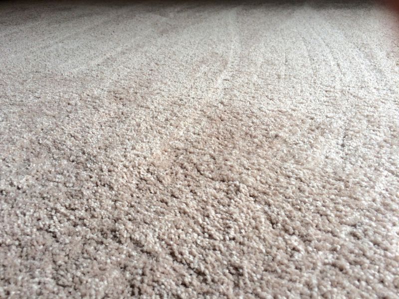 Carpet in Bedroom